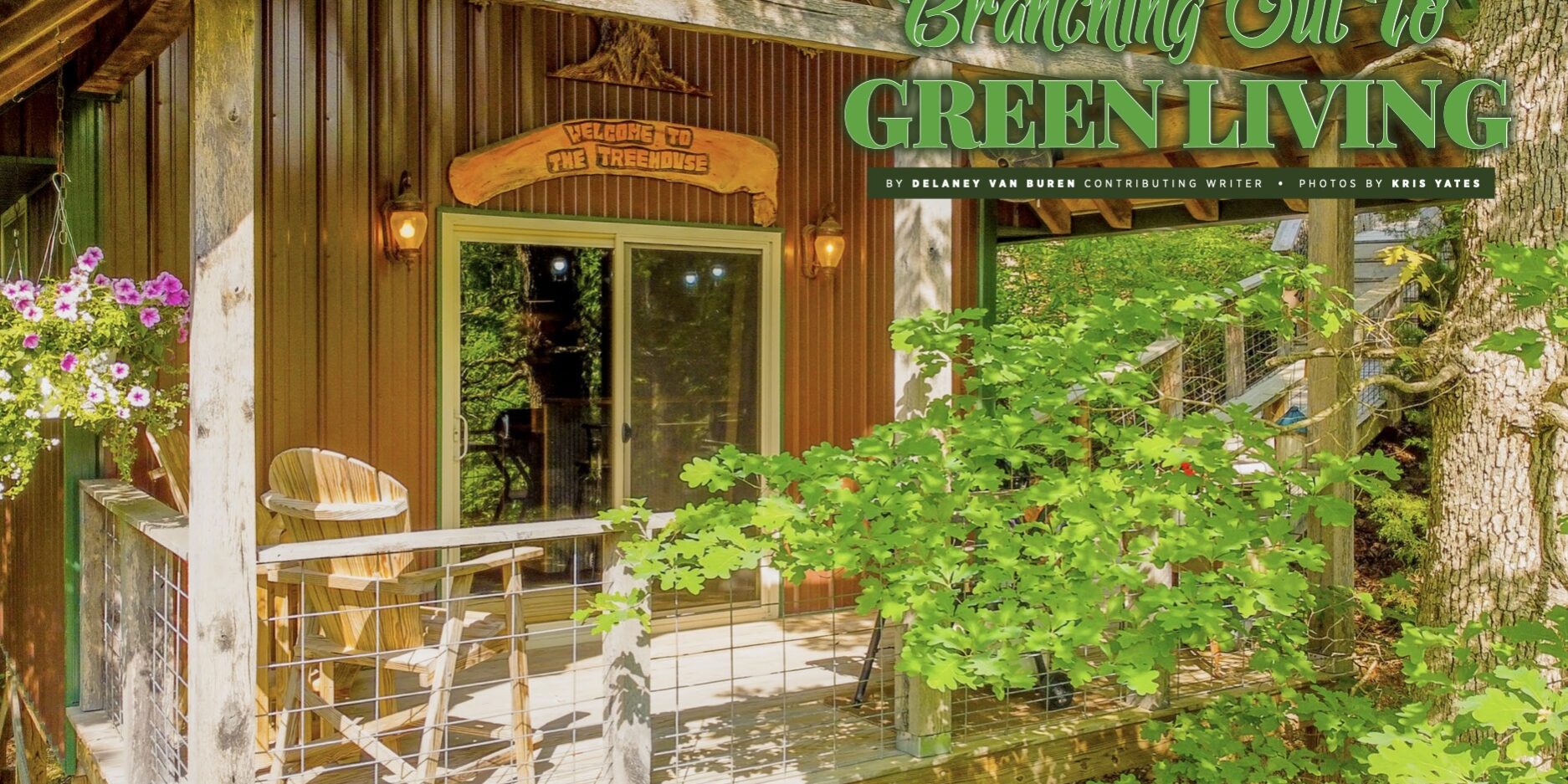 Branching Out To Green Living - The Patterson Family Treehouse